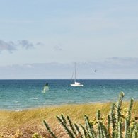 DSC_0040
